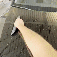 Auto Flitscher
