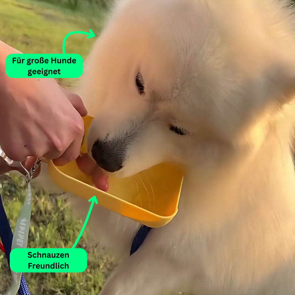 AquaPaw To Go, Die Hunde Trinkflasche