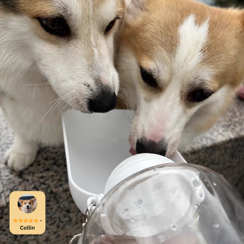AquaPaw To Go, Die Hunde Trinkflasche